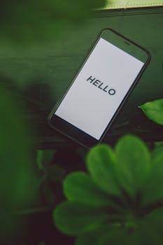 Hello world!